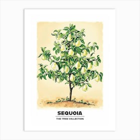 Sequoia Tree Storybook Illustration 3 Poster Art Print