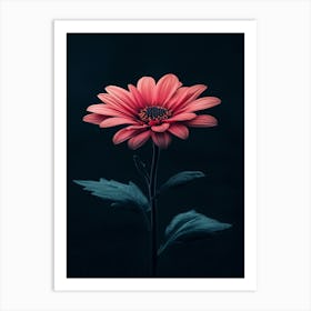 Pink Gerbera Flower 3 Art Print