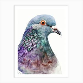 Pigeon 6 Art Print