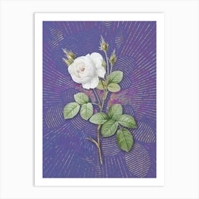 Vintage White Misty Rose Botanical Illustration on Veri Peri n.0453 Art Print