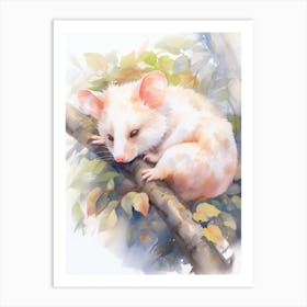 Light Watercolor Painting Of A Sleeping Possum 6 Art Print
