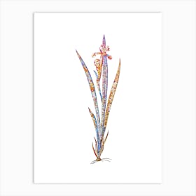 Stained Glass Yellow Banded Iris Mosaic Botanical Illustration on White n.0054 Art Print