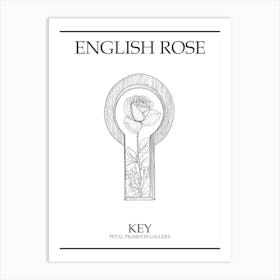 English Rose Key Line Drawing 4 Poster Art Print