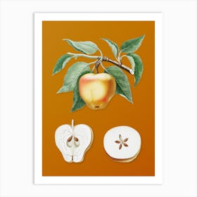 Vintage Carla Apple Botanical on Sunset Orange n.0668 Art Print