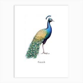 Peacock Kids Animal Poster Art Print