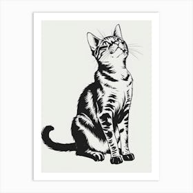 Cat Looking Art Print