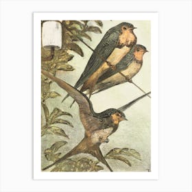 Birds Painting Art Print