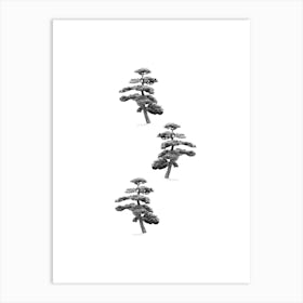 Japanese Pine Tree Collage Art Print