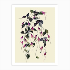 Wandering Jew Plant Minimalist Illustration 4 Art Print