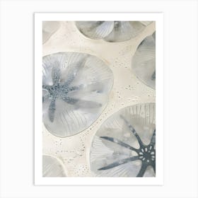 Sand Dollar 3 Art Print