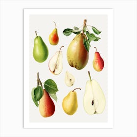 Pears 1 Art Print