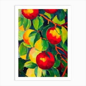 Pomegranate Fruit Vibrant Matisse Inspired Painting Fruit Art Print