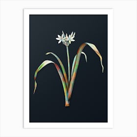 Vintage Small Flowered Pancratium Botanical Watercolor Illustration on Dark Teal Blue n.0077 Art Print