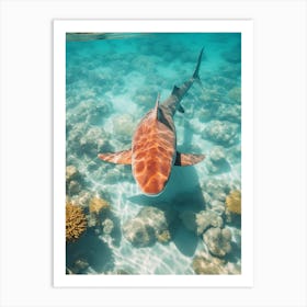  Drone Photograph Of A Shark Swimming In Crystal Clear 2 Art Print