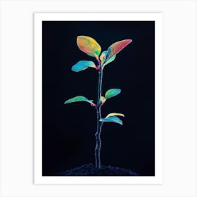 Plant Growing On Black Background 7 Art Print