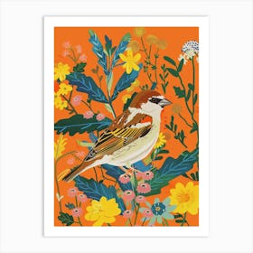 Spring Birds House Sparrow 2 Art Print