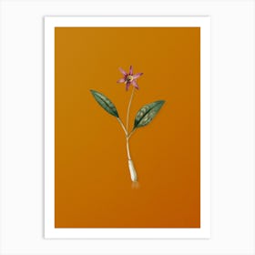 Vintage Erythronium Botanical on Sunset Orange n.0487 Art Print