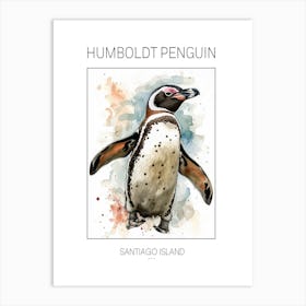 Humboldt Penguin Santiago Island Watercolour Painting 4 Poster Art Print