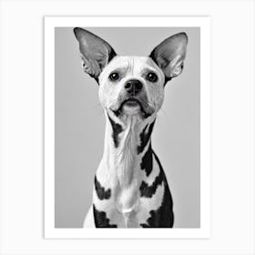 American Hairless Terrier B&W Pencil Dog Art Print