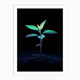 Small Green Plant On Black Background 5 Art Print