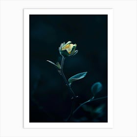 Dark Rose 176 Art Print