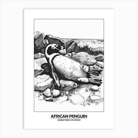 Penguin Sunbathing On Rocks Poster 2 Art Print