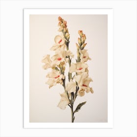 Pressed Flower Botanical Art Snapdragon 1 Art Print