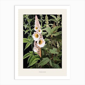 Flower Illustration Foxglove 1 Poster Art Print