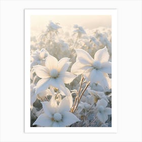 Frosty Botanical Poinsettia 5 Art Print