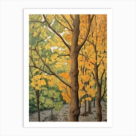 Eastern Cottonwood 2 Vintage Autumn Tree Print  Art Print