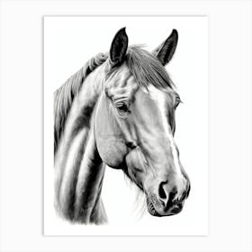 Highly Detailed Pencil Sketch Portrait of Horse with Soulful Eyes 1 Art Print