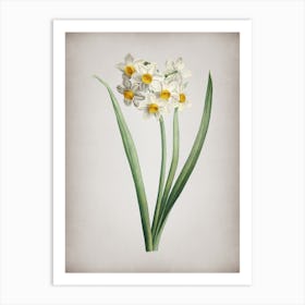 Vintage Narcissus Easter Flower Botanical on Parchment n.0850 Art Print