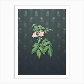 Vintage Turraea Pinnata Flower Botanical on Slate Gray Pattern n.2268 Art Print