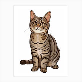 American Wirehair Cat Clipart Illustration 2 Art Print