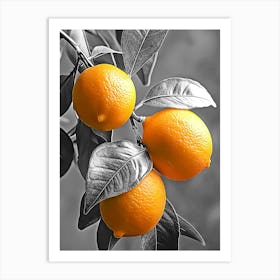 Three Oranges On A Tree Art Print