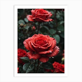 Red Roses In The Rain Print Art Print