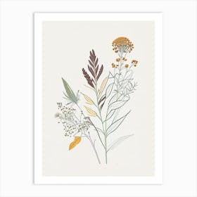 Boneset Spices And Herbs Minimal Line Drawing 3 Art Print