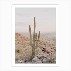 Saguaro Cactus Sunset Art Print