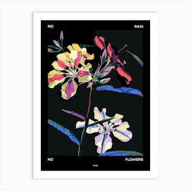 No Rain No Flowers Poster Phlox 4 Art Print