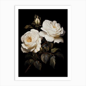 White Roses 1 Art Print