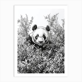 Giant Panda Hiding In Bushes Ink Illustration 4 Art Print