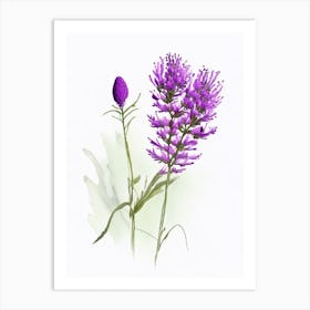 Purple Prairie Clover Wildflower Watercolour Art Print