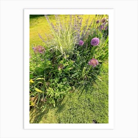 Garden With Purple Flowers Art Print