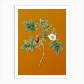 Aazqt Vintage Mountain Rose Bloom Botanical On Sunset Orange N Art Print