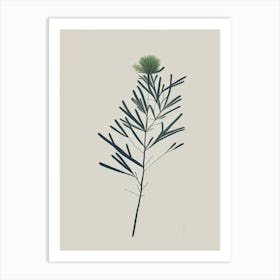 Juniper Herb Simplicity Art Print