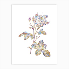 Stained Glass White Provence Rose Mosaic Botanical Illustration on White Art Print