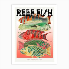 Reef Fishes Graphic Wall Art Vintage Unique Eclectic Art Print