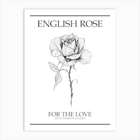 English Rose Black And White Line Drawing 37 Poster Art Print
