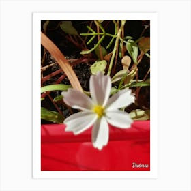 White Flower 3 Art Print