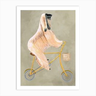 Afghan Dog On Bicycle Art Print